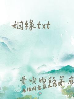 姻缘txt