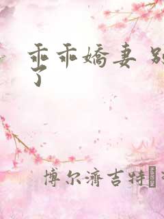 乖乖娇妻 别闹了