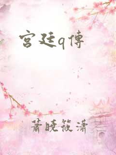 宫廷q传