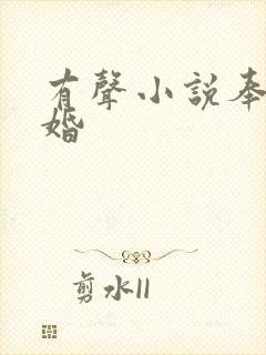 有声小说奉子成婚