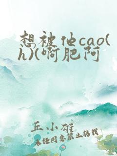 想被他cao(h)(啊肥阿