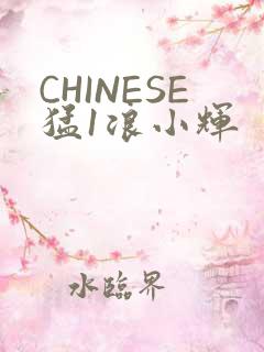 CHINESE猛1浪小辉