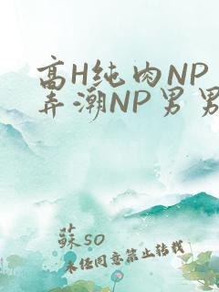 高H纯肉NP 弄潮NP男男