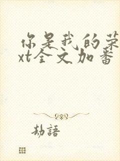 你是我的荣耀txt全文加番外