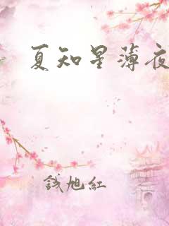 夏知星薄夜宸