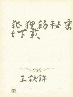 狐狸的秘密txt下载