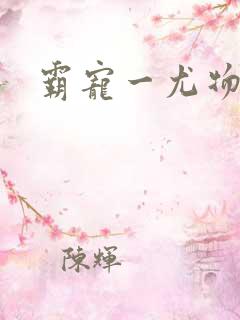 霸宠一尤物老婆