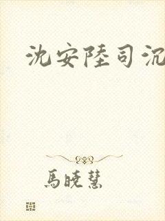 沈安陆司沉小说