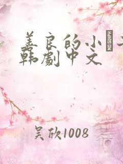 善良的小峓子2韩剧中文