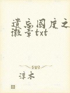 遗忘国度之神秘徽章txt