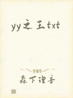 yy之王txt