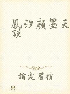 凤汐颜墨天问小说