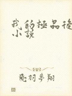 我的极品后宫 小说