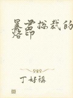 暴君总裁的狂烈烙印