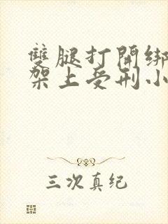 双腿打开绑在刑架上受刑小说