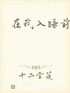在我入睡前