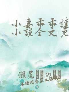 小妻乖乖让我宠小说全文免费阅读