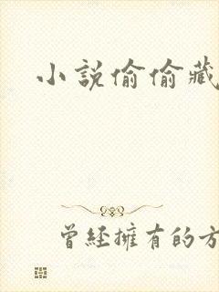 小说偷偷藏不住