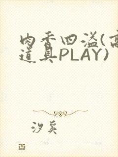 肉香四溢(高H道具PLAY)