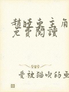 赵晓东主角小说免费阅读