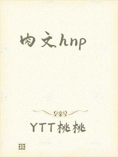肉文hnp