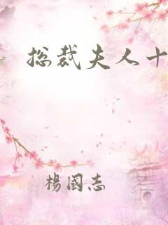 总裁夫人十八岁