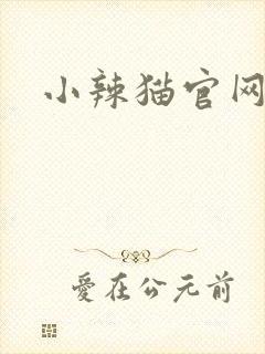 小辣猫官网