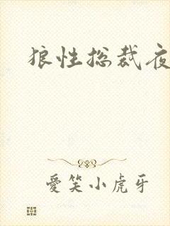 狼性总裁夜欢宠