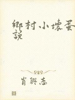 乡村小坏蛋 小说