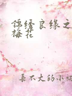 锦绣良缘之驿寄梅花