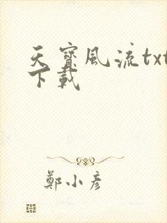 天宝风流txt下载