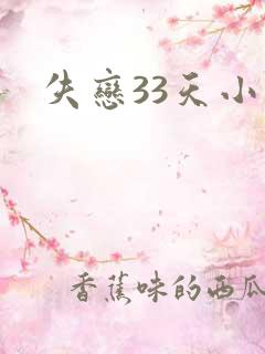 失恋33天小说