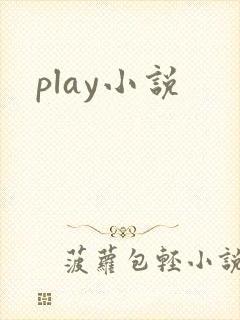 play小说
