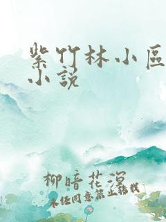 紫竹林小区快递小说