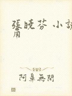 张晓芬 小说主角