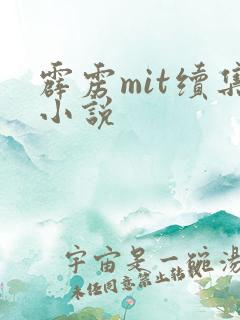 霹雳mit续集小说