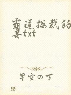 霸道总裁的挂名妻txt