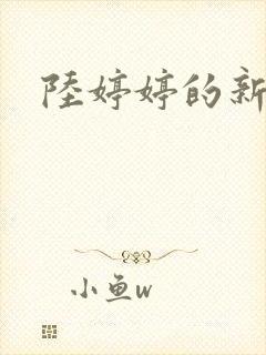 陆婷婷的新故事