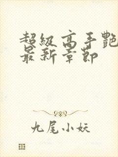 超级高手艳遇记最新章节