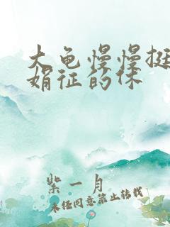 大龟慢慢挺进张娟征的休