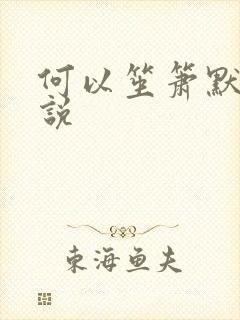 何以笙箫默 小说