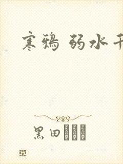 寒鸦 弱水千流
