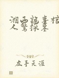 湘西诡事棺山道人惊探墓