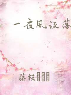 一夜风流落裔