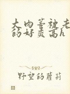 大肉蒂被老头嘬的好爽高h