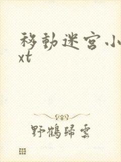 移动迷宫小说txt