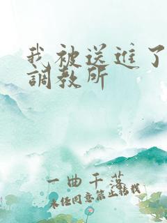 我被送进了私奴调教所