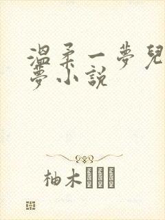 温柔一梦儿媳林梦小说