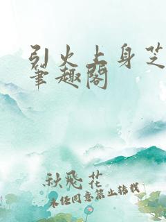 引火上身芝麻糖笔趣阁