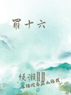 罗十六